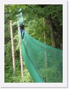 P1010054 * 461 x 614 * (74KB)