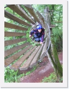 P1010083 * 461 x 614 * (70KB)