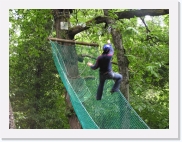 P1010085 * 614 x 461 * (86KB)