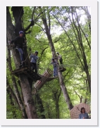 P1010087 * 461 x 614 * (79KB)