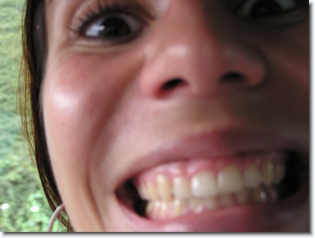 Diapositive suivante