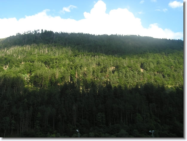 Diapositive suivante