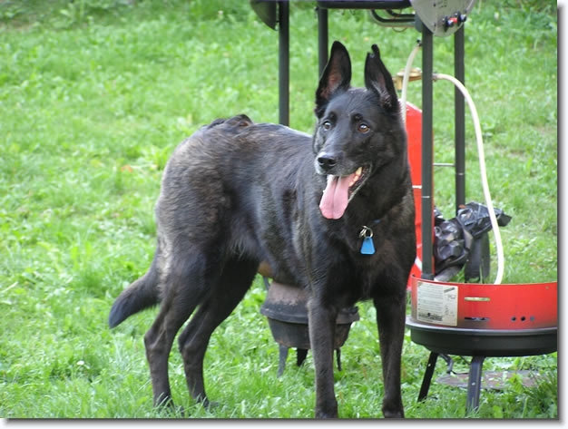 Diapositive suivante