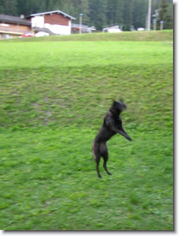 Diapositive suivante