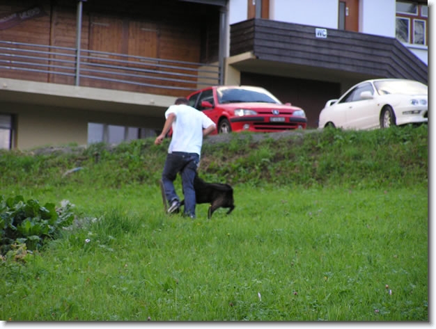 Diapositive suivante