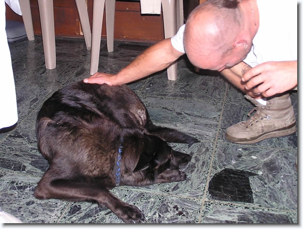 Diapositive suivante