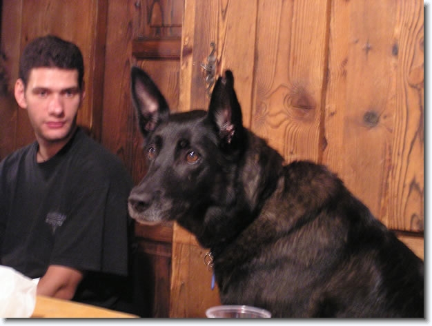 Diapositive suivante