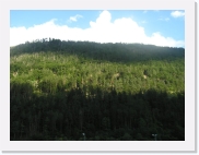 P9100053 * 614 x 461 * (56KB)