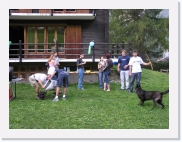 P9100058 * 614 x 461 * (70KB)