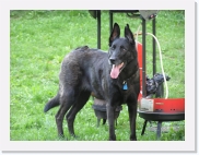 P9100069 * 614 x 461 * (76KB)