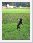 P9100088 * 461 x 614 * (64KB)