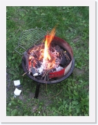 P9100101 * 461 x 614 * (77KB)