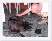 P9110170 * 614 x 461 * (63KB)