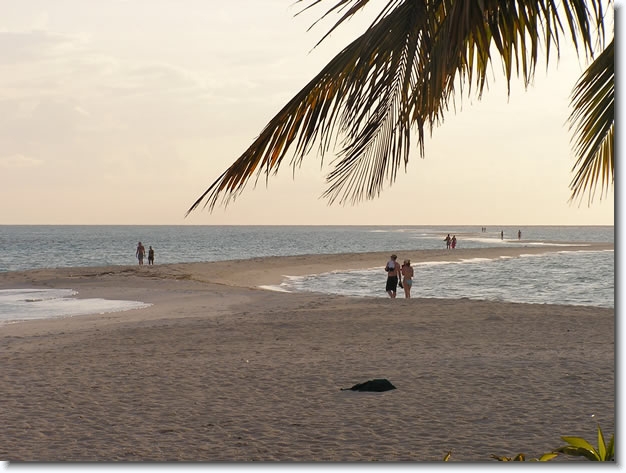 Diapositive suivante