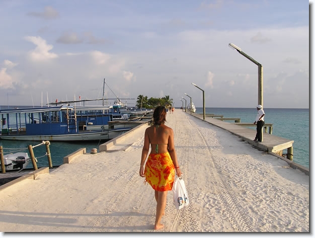 Diapositive suivante