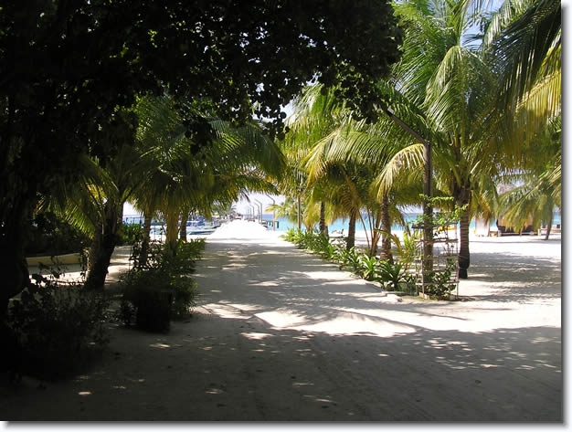 Diapositive suivante