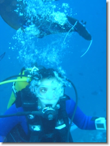 Diapositive suivante