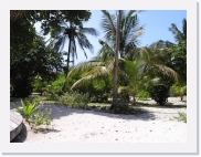 P9260016 * 614 x 461 * (72KB)