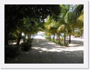 PA070140 * 614 x 461 * (70KB)