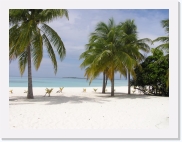 PA090188 * 614 x 461 * (63KB)