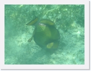 qPA010063 * 614 x 461 * (61KB)