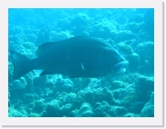 qPA010085 * 614 x 461 * (70KB)