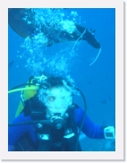 qPA010087 * 461 x 614 * (47KB)