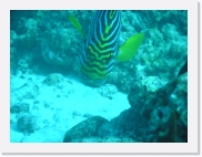 qPA010093 * 614 x 461 * (66KB)