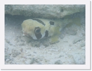 qPA010114 * 614 x 461 * (62KB)