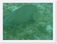 qPA010130 * 614 x 461 * (52KB)