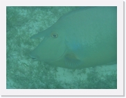 qPA010133 * 614 x 461 * (44KB)