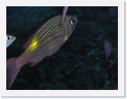 qPA020154 * 614 x 461 * (41KB)