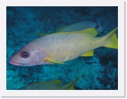 qPA020156 * 614 x 461 * (53KB)