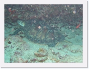 qPA020160 * 614 x 461 * (62KB)