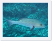 qPA020161 * 614 x 461 * (55KB)