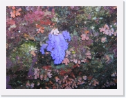 qPA020166 * 614 x 461 * (75KB)