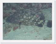 qPA020173 * 614 x 461 * (53KB)