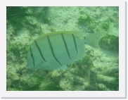 qPA020183 * 614 x 461 * (58KB)