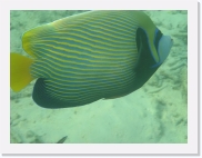 qPA020191 * 614 x 461 * (59KB)