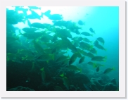 qPA030212 * 614 x 461 * (62KB)