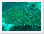 qPA030213 * 614 x 461 * (81KB)