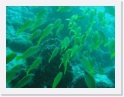 qPA030215 * 614 x 461 * (73KB)