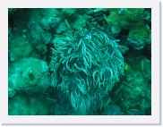 qPA030217 * 614 x 461 * (83KB)