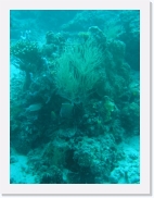 qPA030223 * 461 x 614 * (62KB)