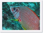 qPA030225 * 614 x 461 * (71KB)