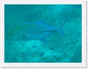 qPA030230 * 614 x 461 * (51KB)