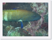 qPA030232 * 614 x 461 * (66KB)