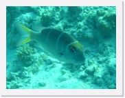 qPA030234 * 614 x 461 * (73KB)