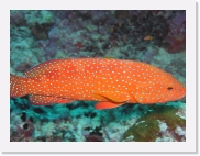 qPA050006 * 614 x 461 * (70KB)