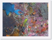 qPA050007 * 614 x 461 * (75KB)